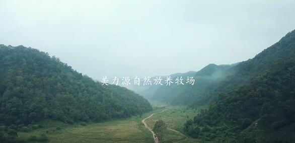 美力源堅(jiān)守品質(zhì) 用硬核實(shí)力說話